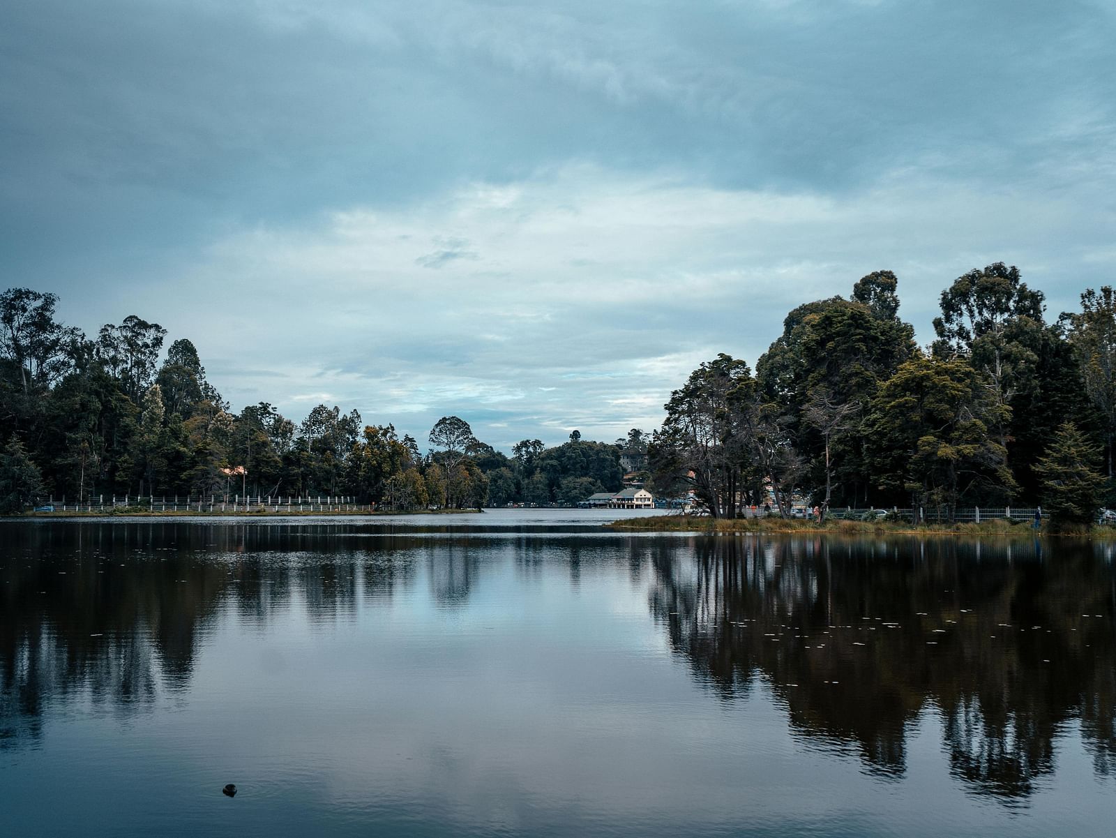 A beautiful lake with calm waters reflecting the trees surrounding it on the water along with a overcast sky in the background.