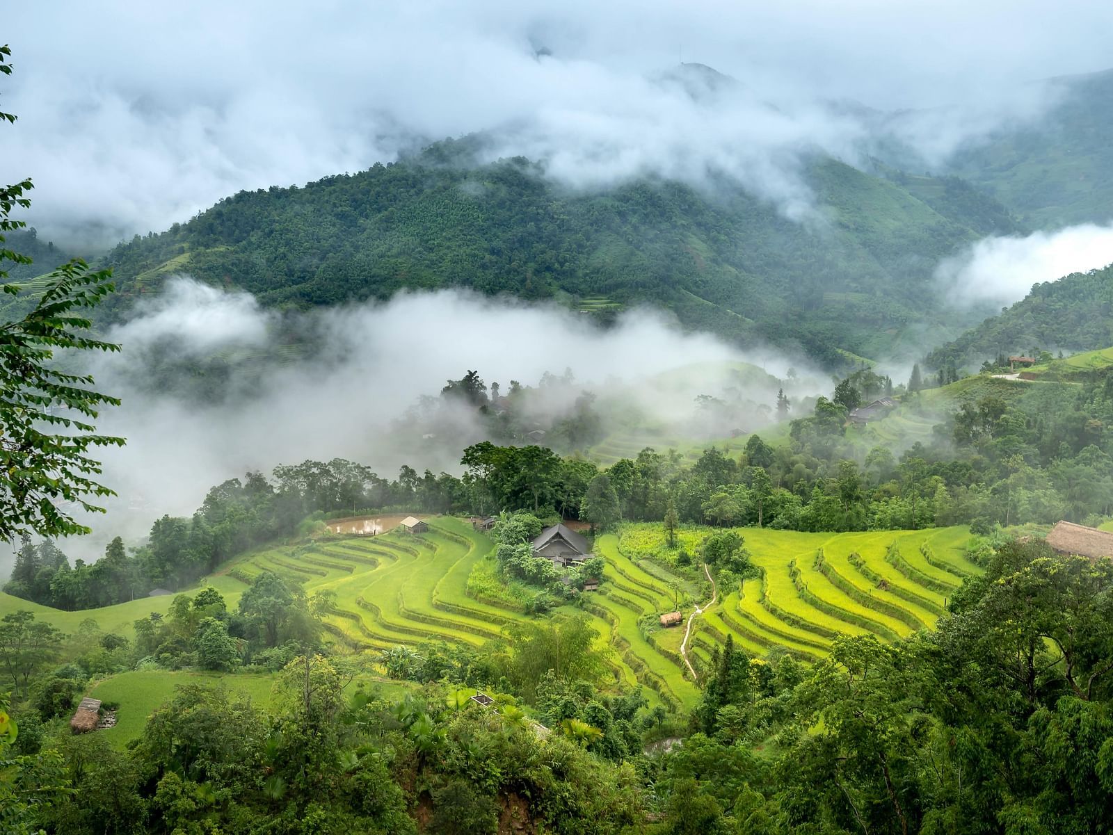 A verdant mountain landscape with mist-shrouded peaks and lush green rice terraces under a cloudy sky.