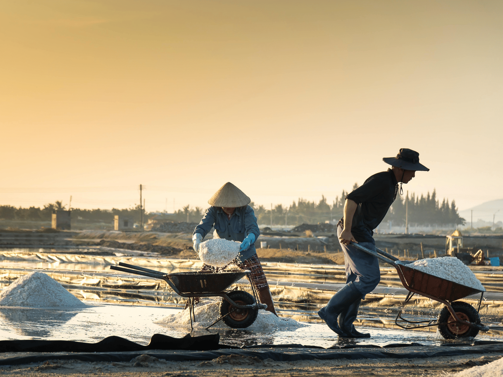 Workers harvesting salt under a warm evening sky.
