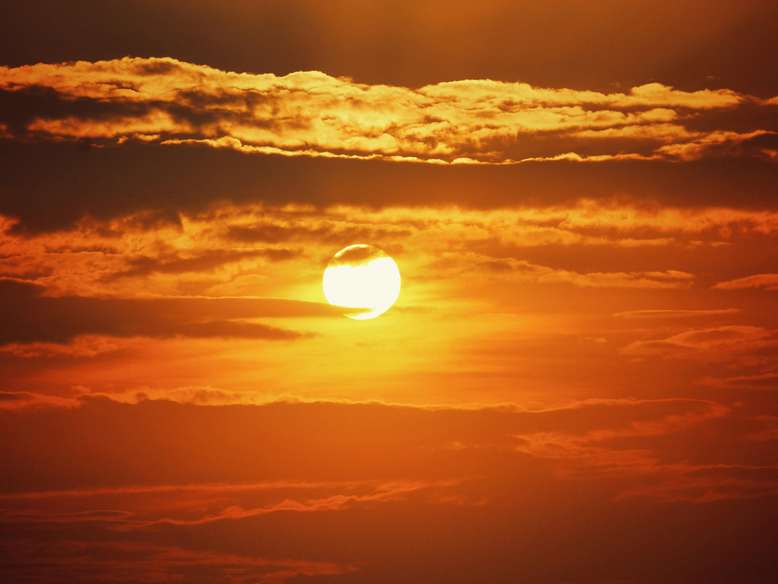 A vivid sunset scene with golden clouds and the sun glowing over the horizon, creating a warm and dramatic sky.