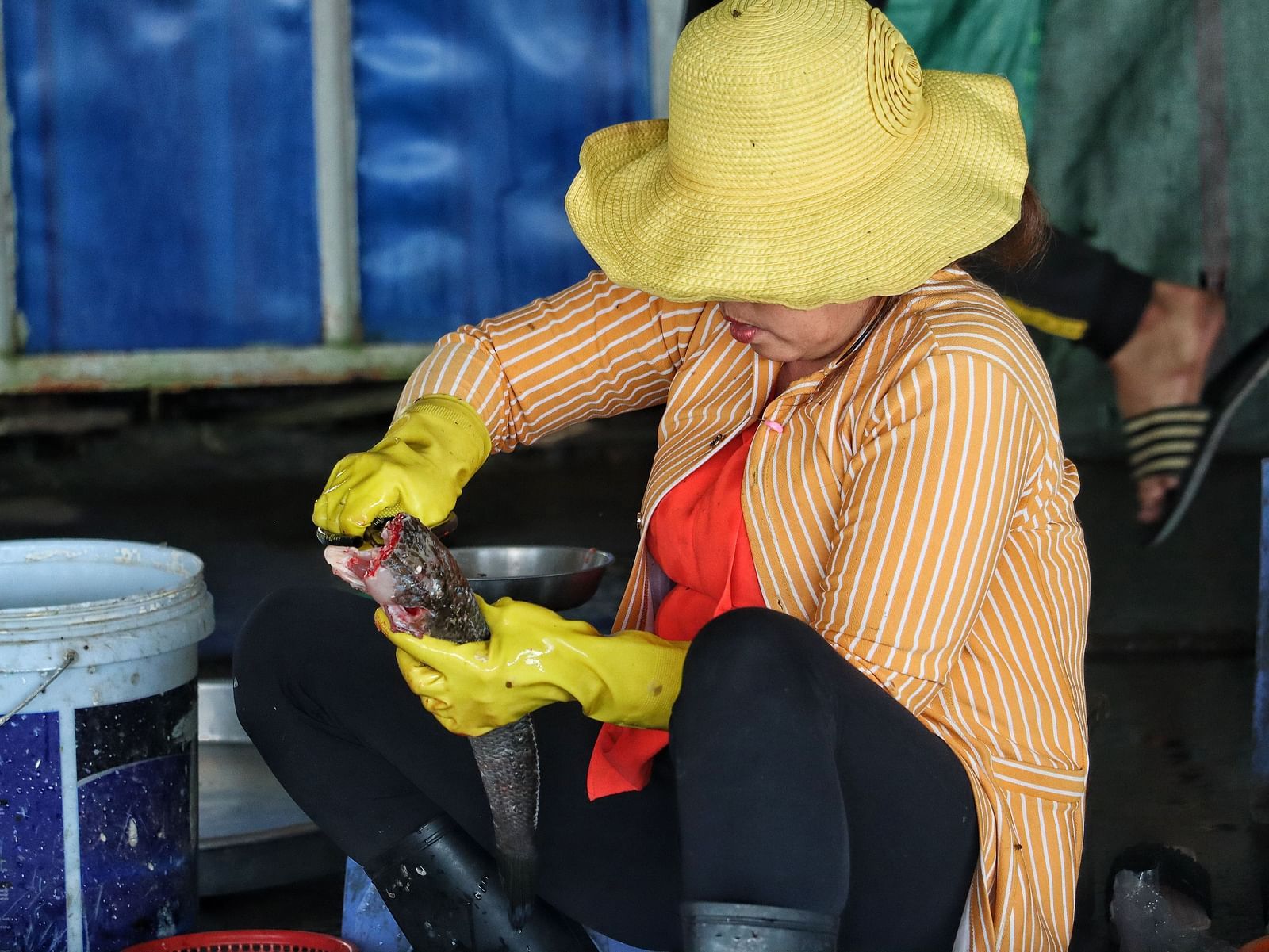 A close up of a woman gutting a fish that has been fished from the Mekong River.