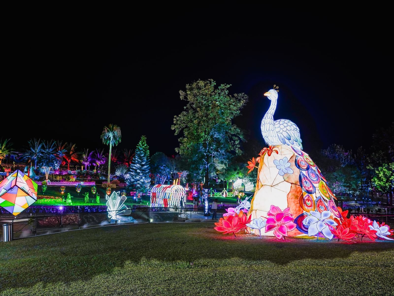 Winter Carnival - Peacock theme at Musical Glow Garden Ramoji film city
