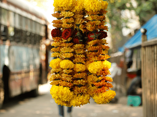 Multiple flower garlands hanging near roadside, with bus and street scene visible in the background.