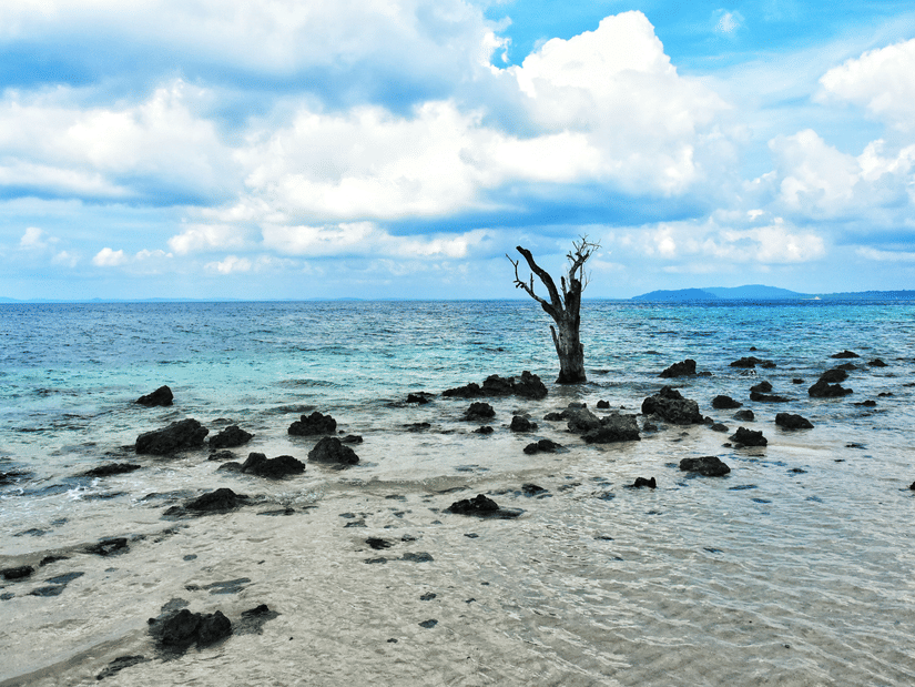A rocky beach with waves washing over stones under a bright blue sky.