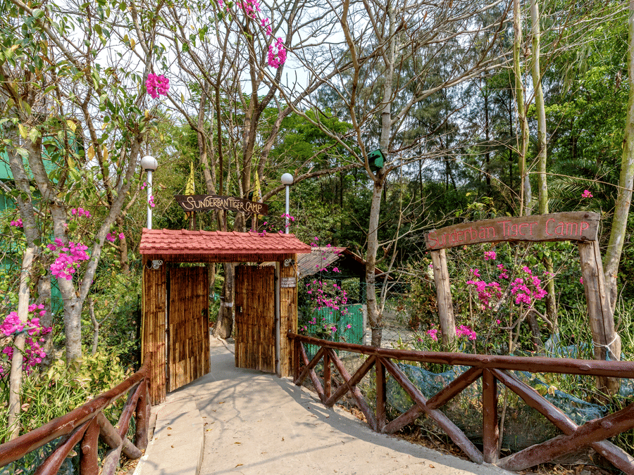 A pathway with wooden walls leading to a wooden gate surrounded by plants and trees.