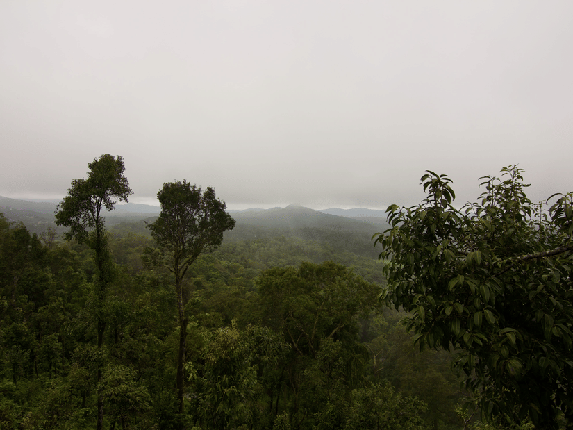 A foggy landscape of Madikeri, Coorg, with lush green hills and mist-covered forests.