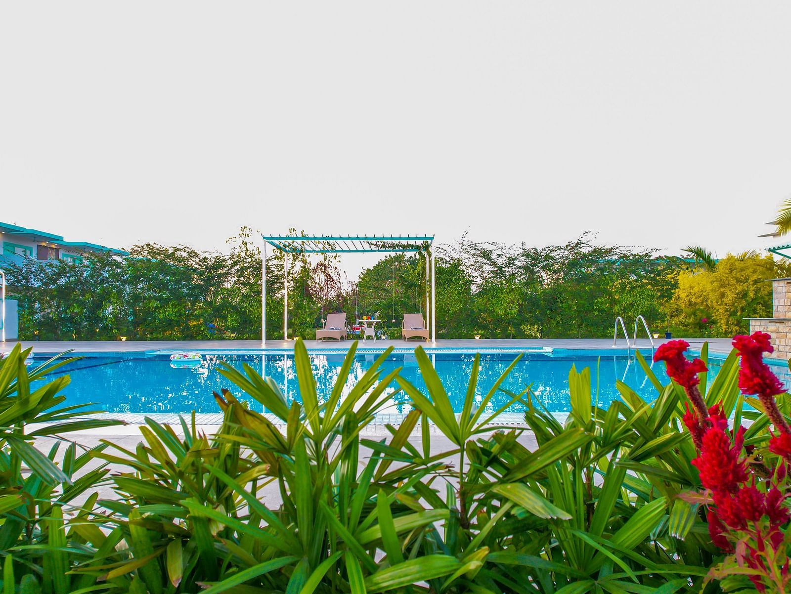 View of a swimming pool with bushes, flowers in the front and trees and clear blue sky in the background - Vedikant Resorts The Mallard Corbett.