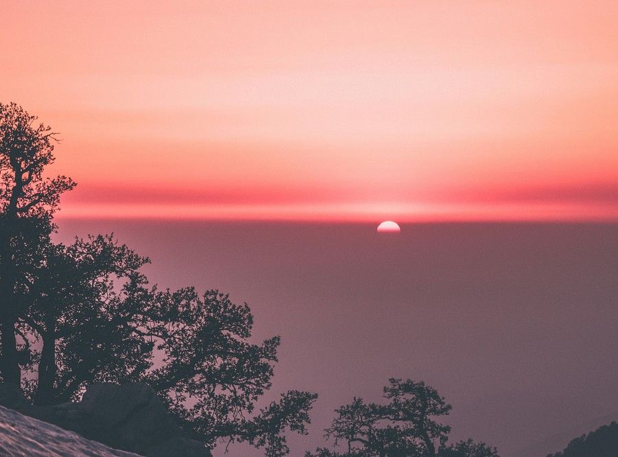 sahil-pandita-TZYse1dBYlg-unsplash