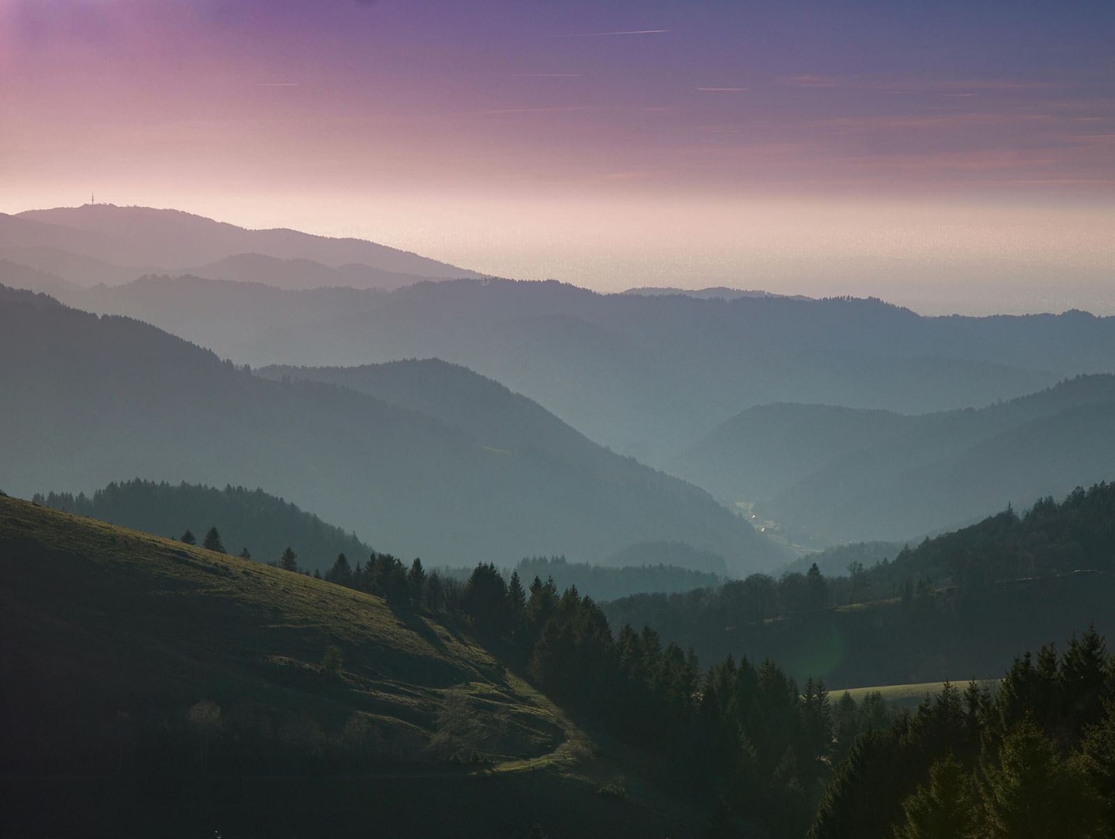 Rolling hills under a misty sky, with pine trees covering the slopes.