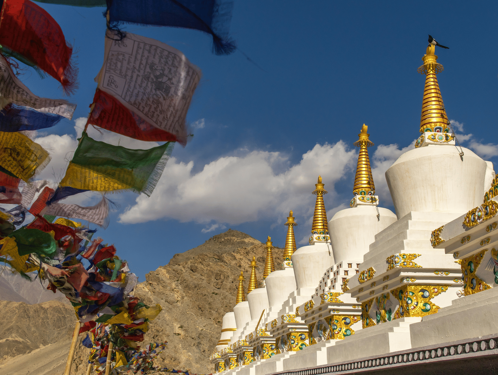 hans-jurgen-mager-3UyyQuUjUhI-unsplash