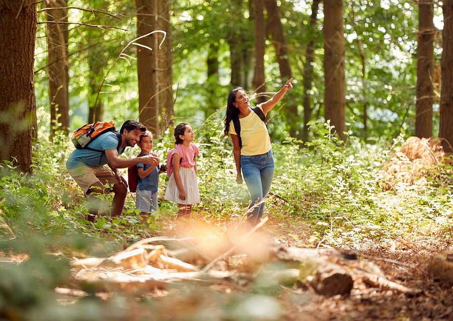 alt-text  family of four, including two adults and two children, is hiking through a lush, green forest. One adult is pointing out something in the trees to the children, who look excited.