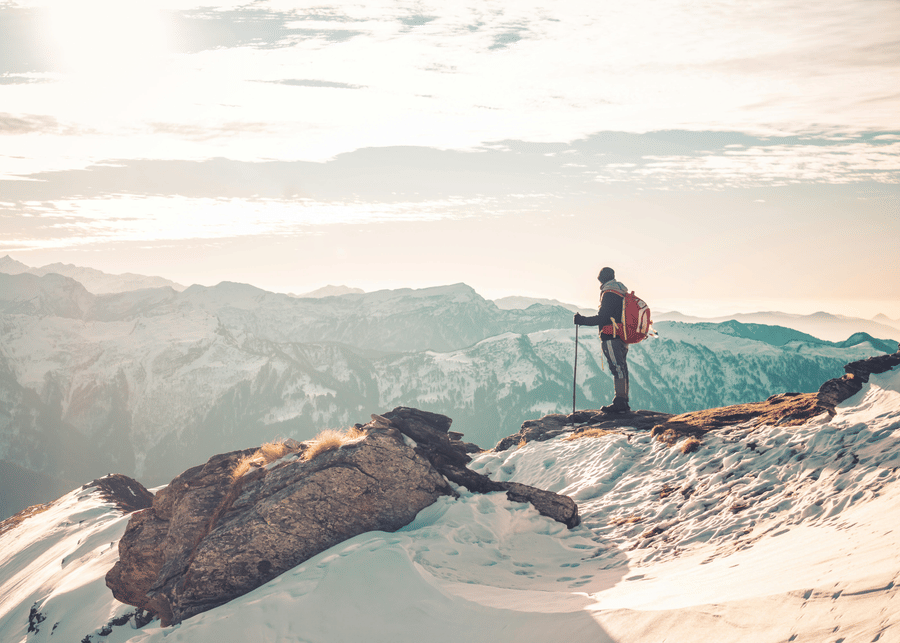 pexels-sanket-barik-2808574-7846473