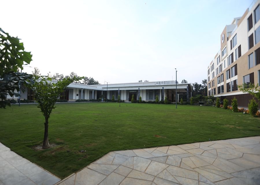 A lush outdoor lawn framed by serene gatherings.