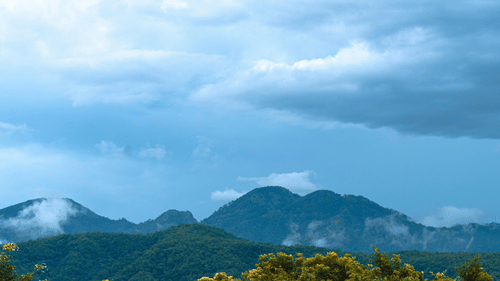 View of a forest with mountains in the backdrop on a cloudy day