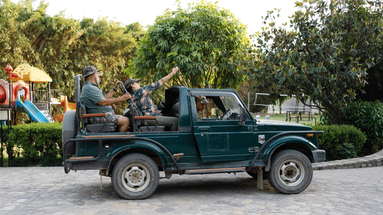 Wildlife Safaris and Luxury Stays Create the Perfect Vacation