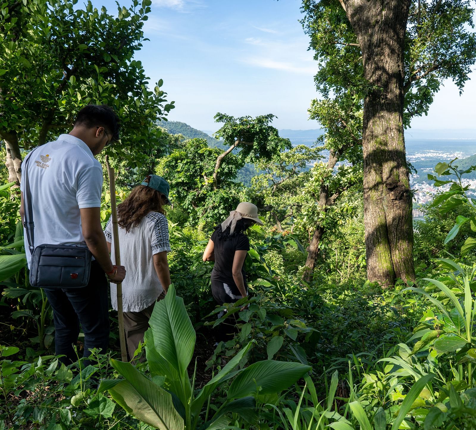 people walking in the mountains with trees around
