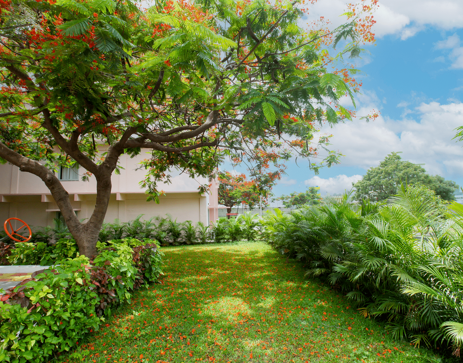 A well-carpeted lawn, featuring trees and shrubs at Greens Inn - Lush Hotel Grounds in Hyderabad.