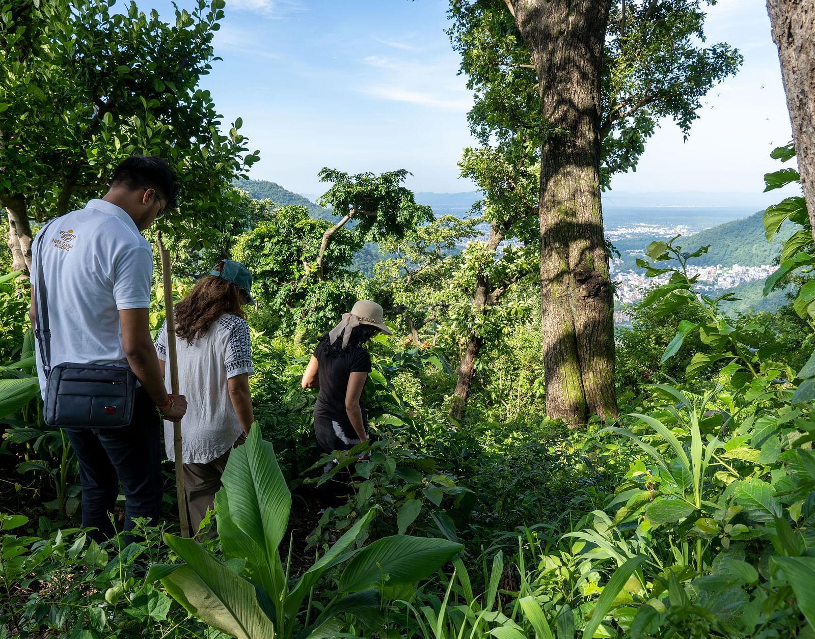 a group of people walking amidst a lush green area - Neer Ganga Resorts