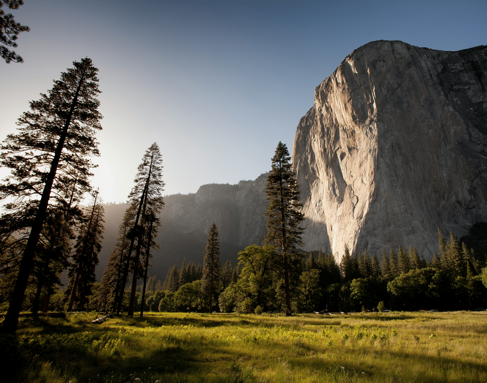 adam-kool-ndN00KmbJ1c-unsplash
