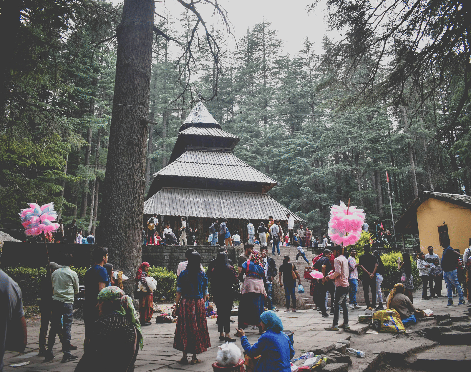 A far out view of Hadimba Devi Temple with many people in front of it and the temple surrounded by pine trees making it one of the must-visit Attractions Near Manali.