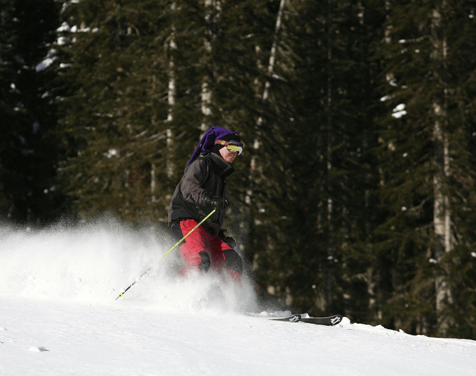 Skier gliding through a snow-covered pine forest.