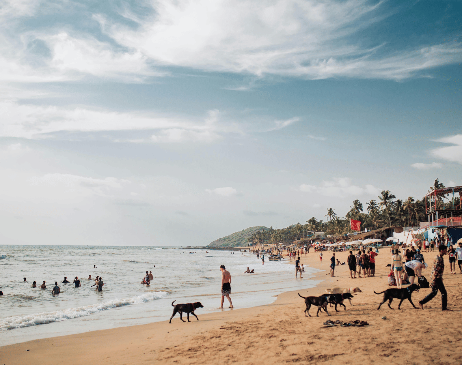 People paddling in the waves and walking their dogs along the damp sand.