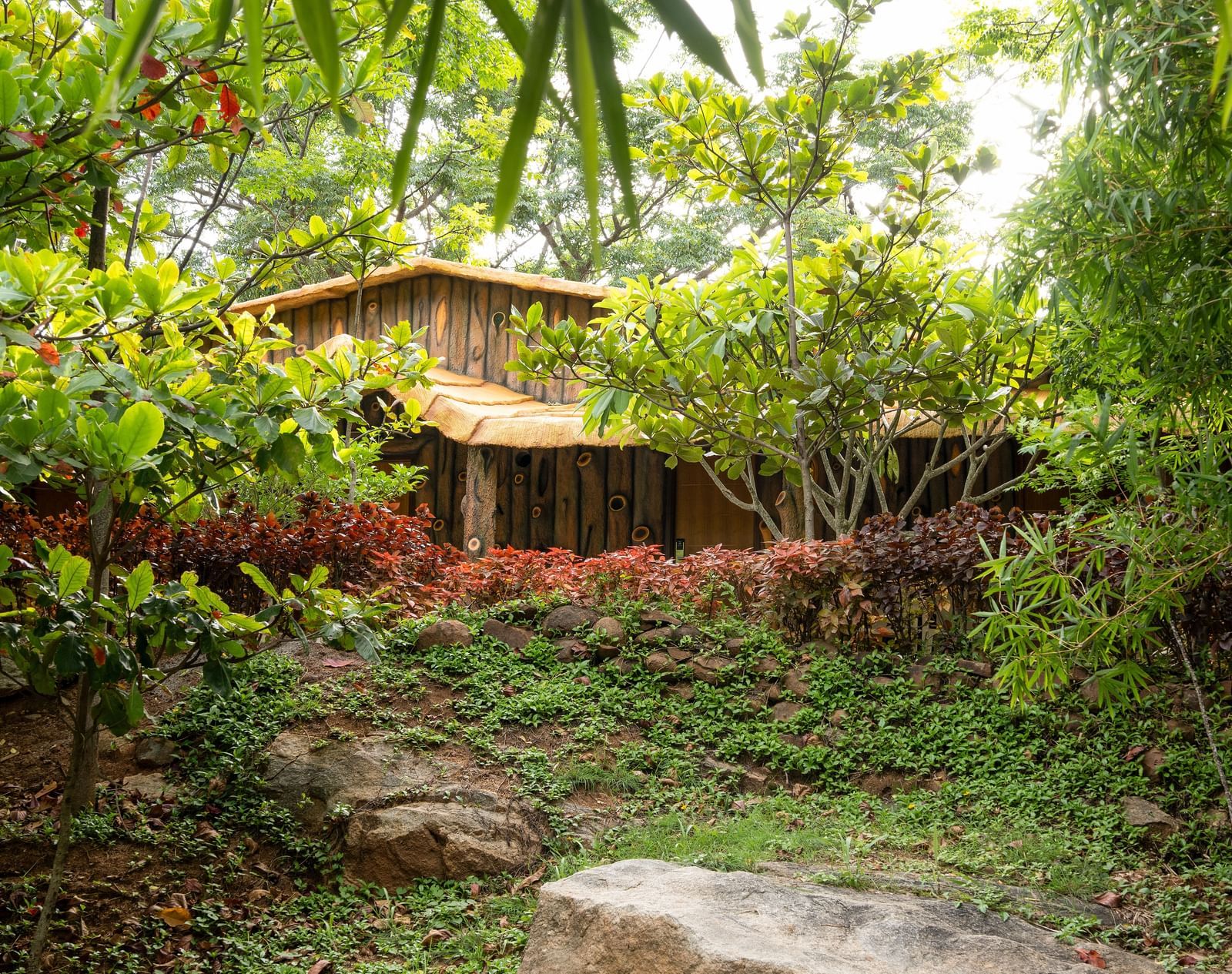 A serene garden scene features multiple thatched-roof cottages surrounded by vibrant green foliage and a winding pathway | Standard Room | RD's Nature Retreat, Bangalore