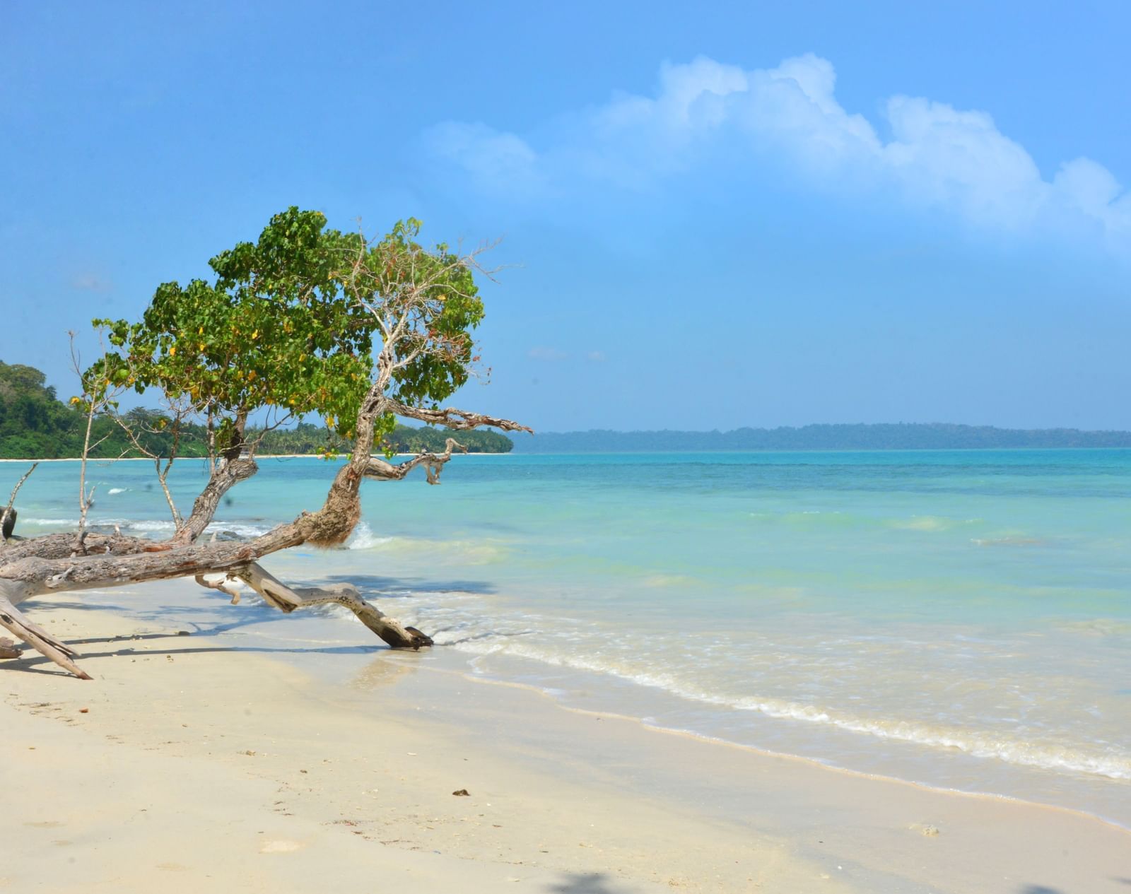 Kalapather Beach 1 (11)