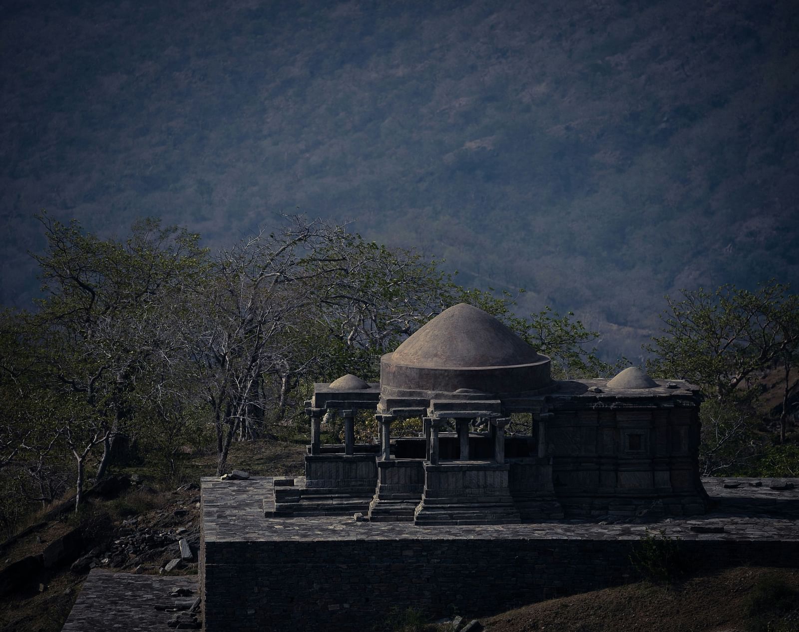 A close up of a stone structured building inside the Kumbhalgarh fort with forest cover in the background.