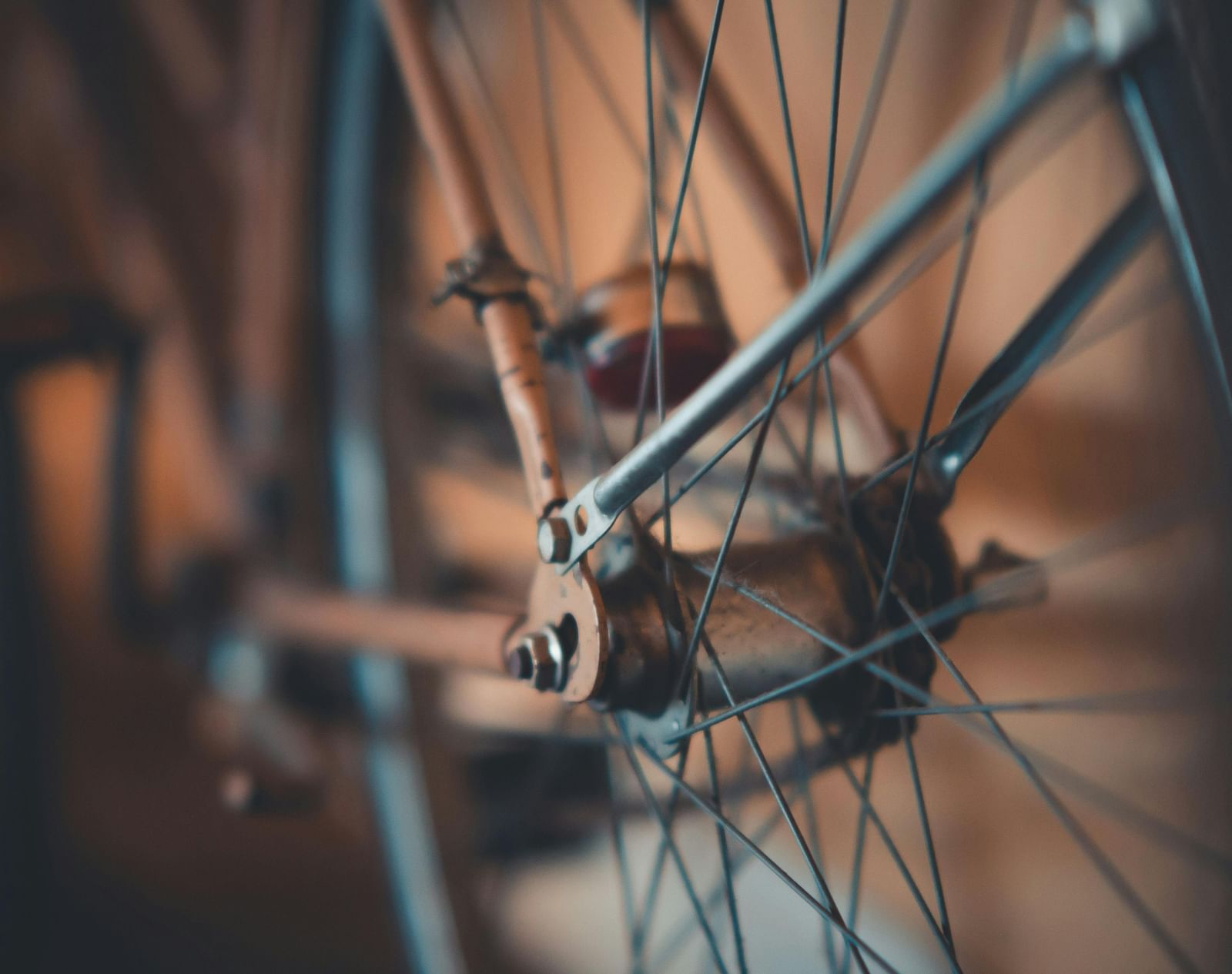 pexels-thatguycraig000-1835897