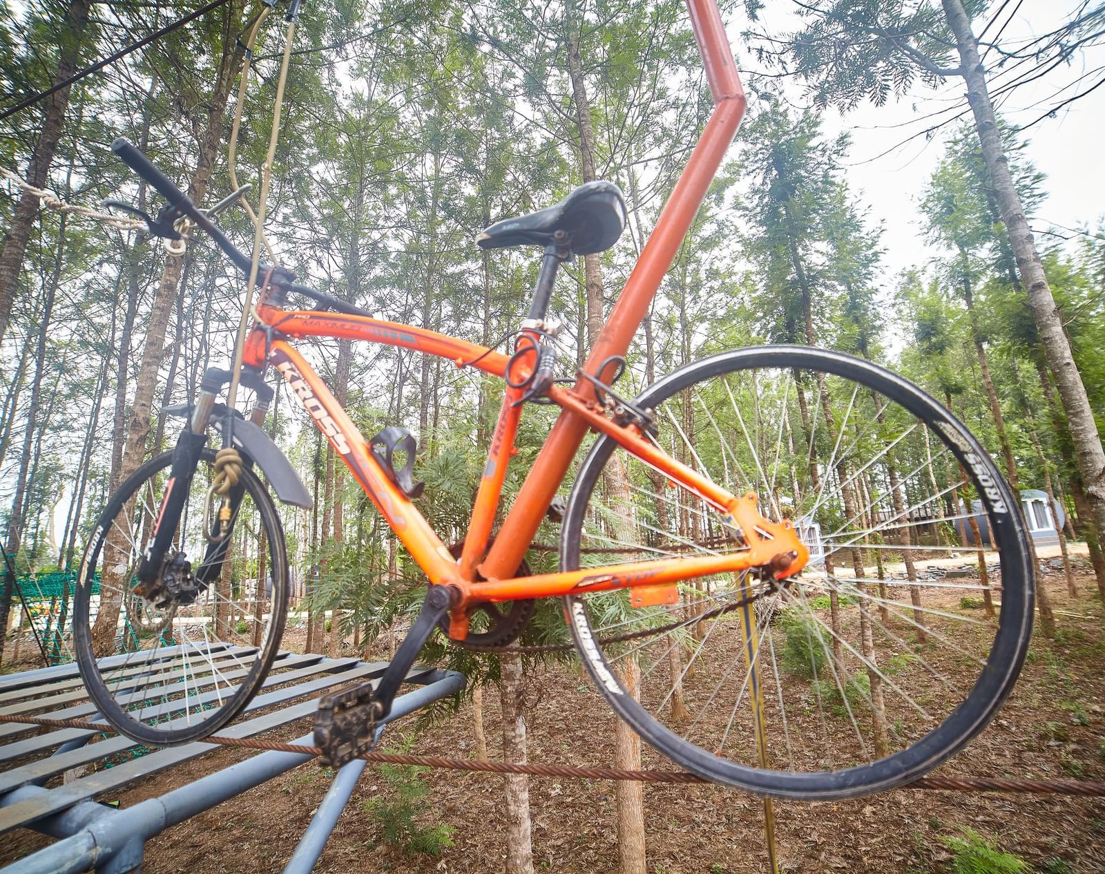 An orange bicycle suspended on a zipline or adventure course, viewed from a lower angle, set among tall, slender trees. - Vintage Trails by Ilara