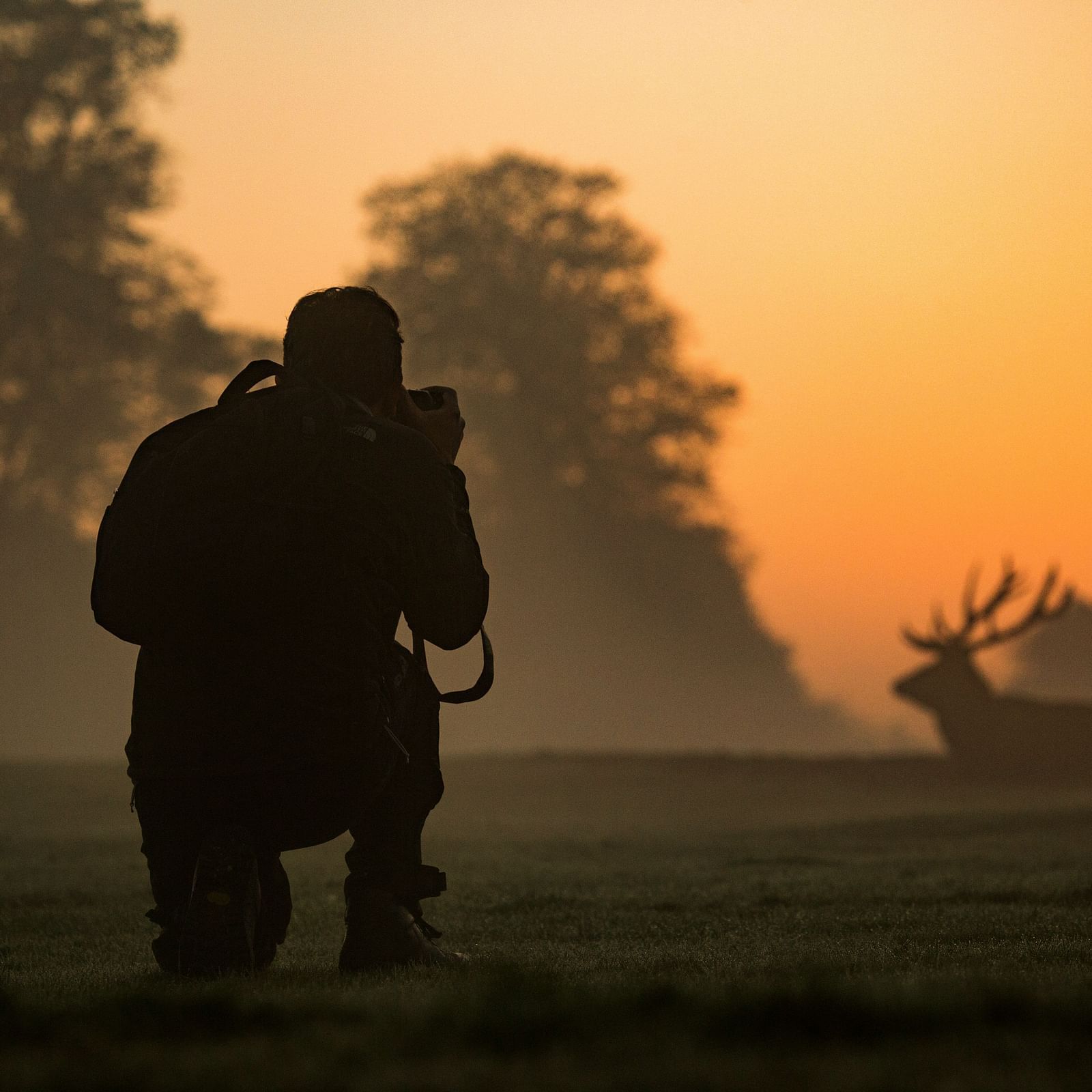 a man clicking picture of a Barasingha