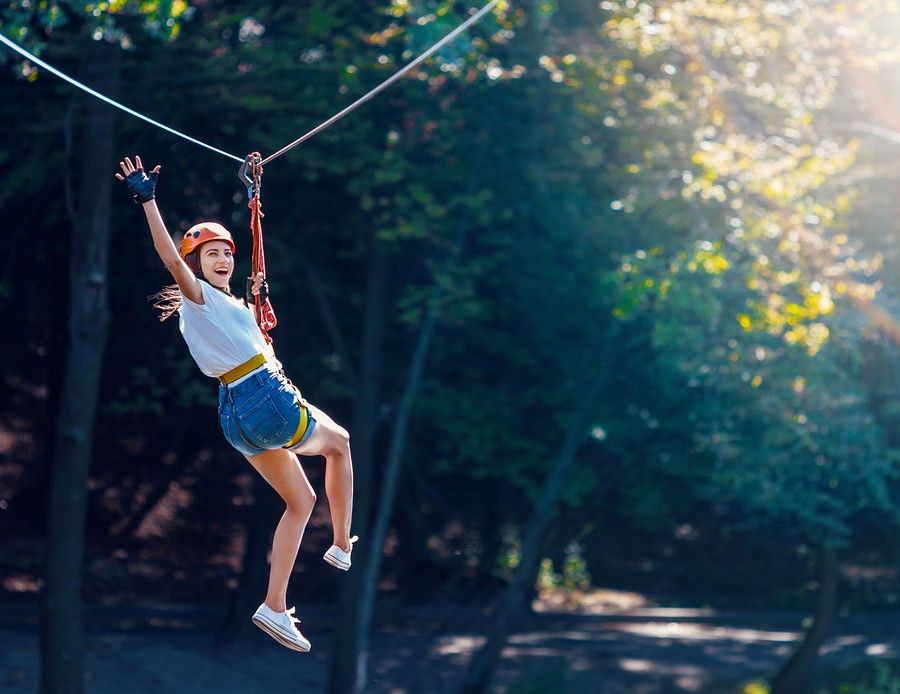 alt-text zipline