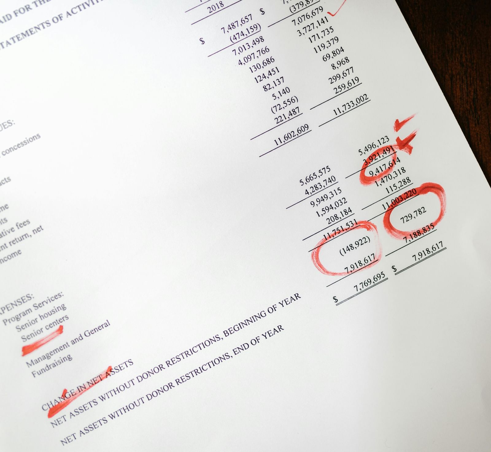A document featuring financial statements with red circles drawn over it.