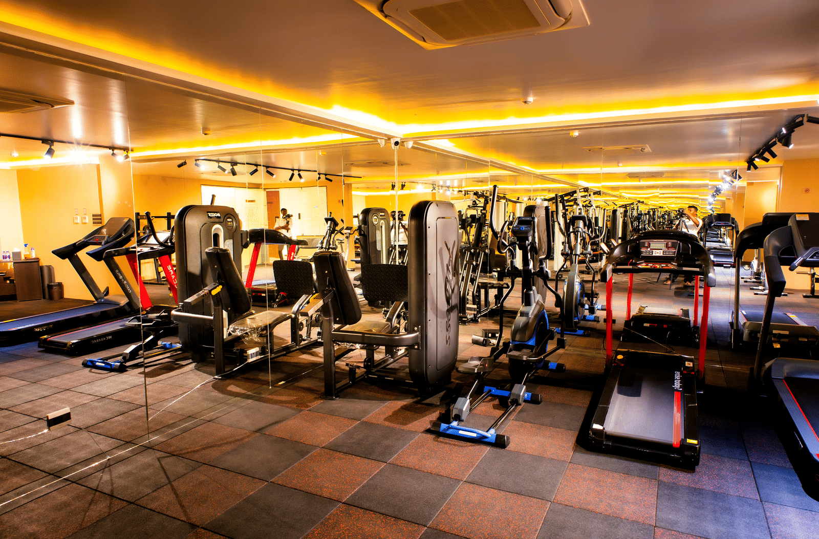 Fitness centre with a preacher curl bench, upright exercise bike, adjustable benches and a frosted glass entrance door at Ilara Hotels & Spa, Tada.