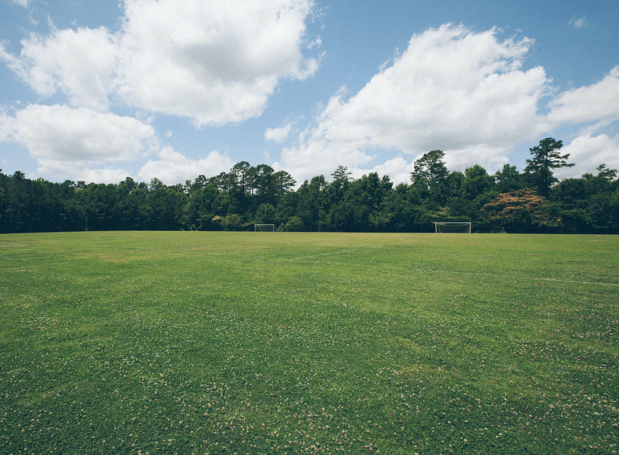 alt-text phil-goodwin-Ys85uMksDHc-unsplash