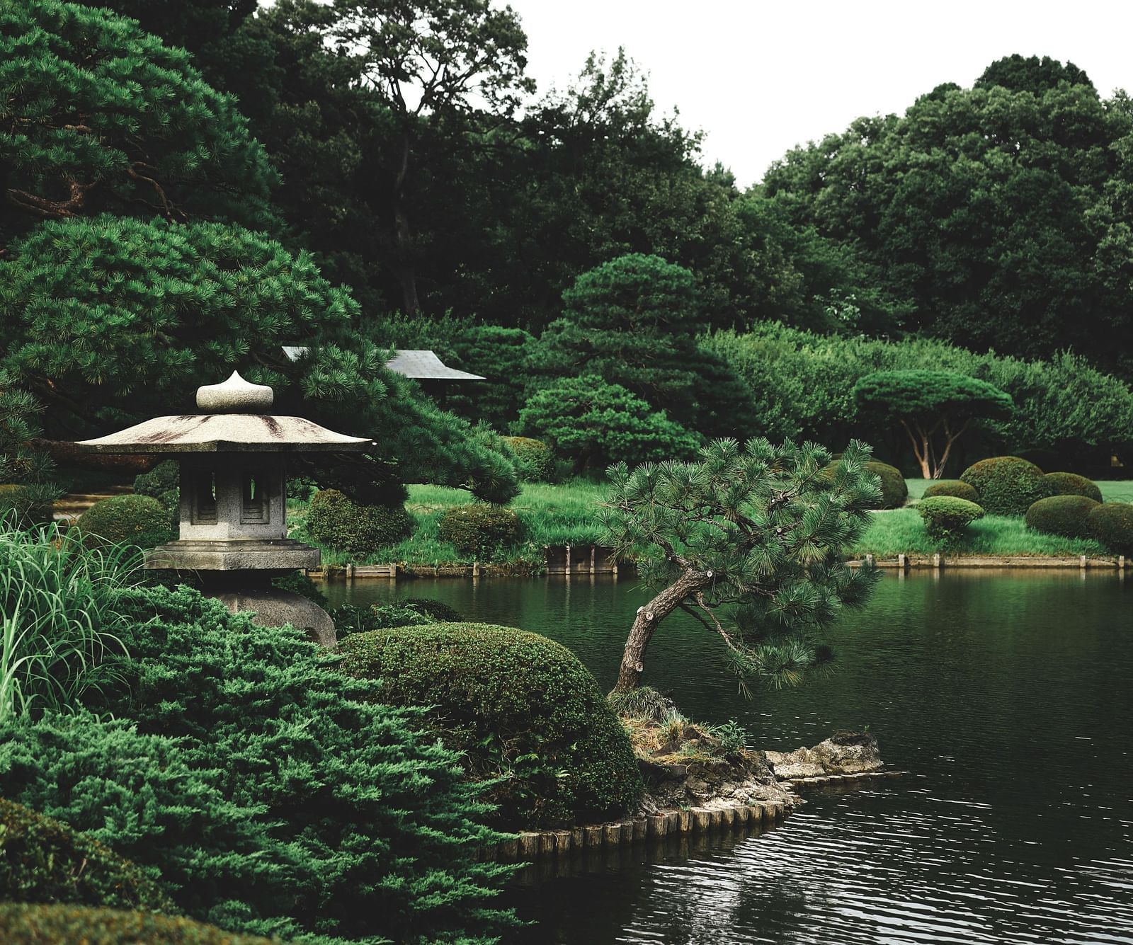 an overview of a botanical garden with greenery all around and a lake in view