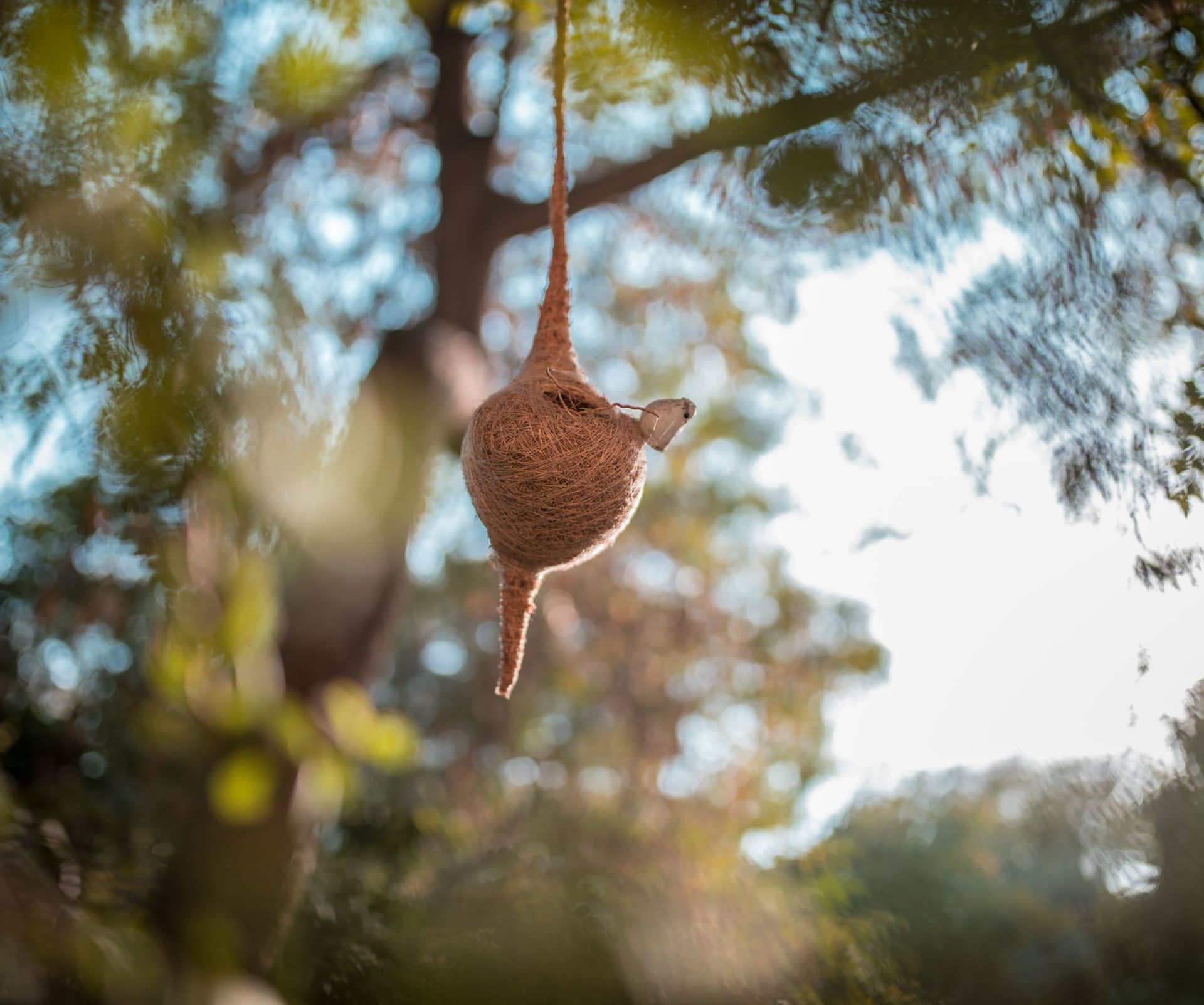 A finely woven bird nest hanging gracefully from a tree branch in the greenery at Karma Chalets.