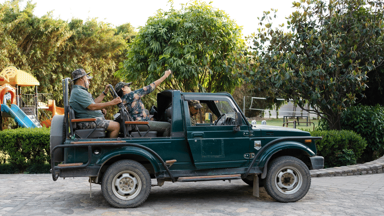Wildlife Safaris and Luxury Stays Create the Perfect Vacation
