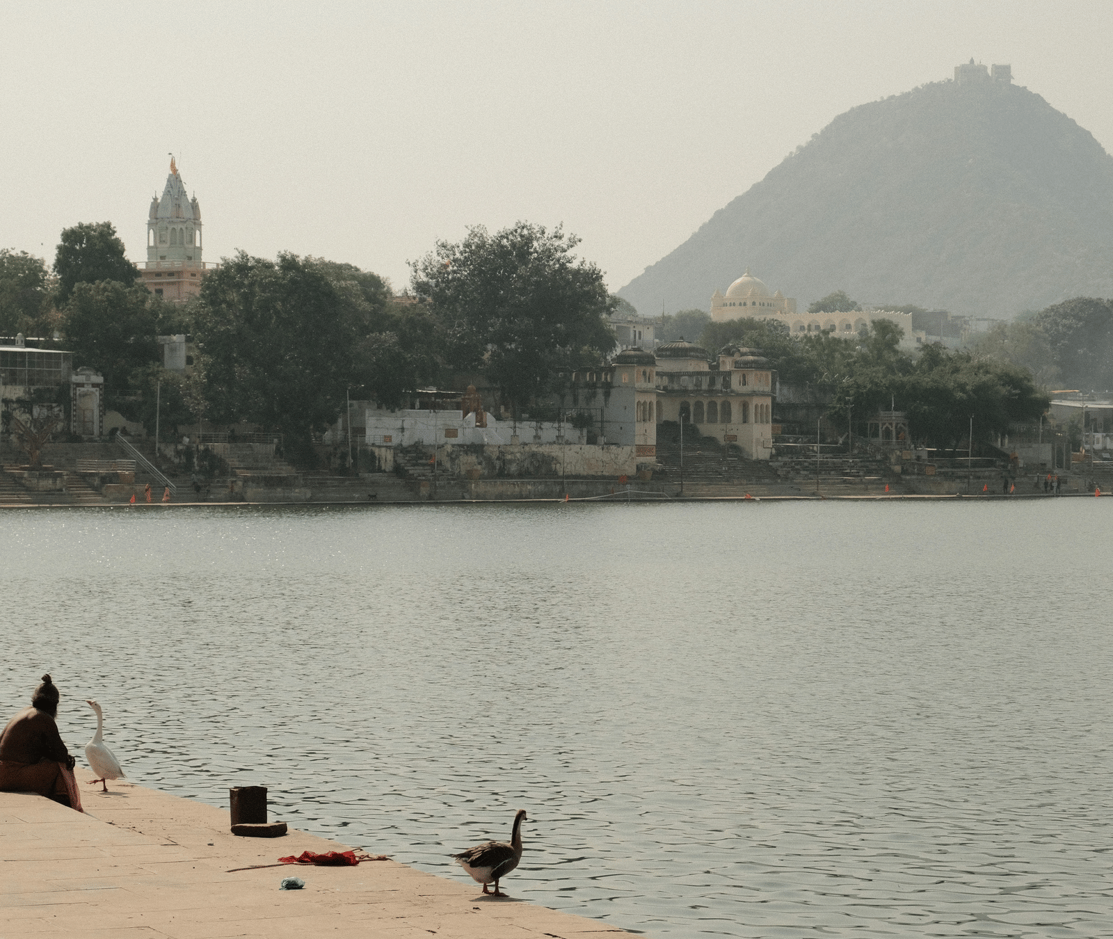 A body of water with a mountain and buildings on the other side. There are ducks and birds on the bank.