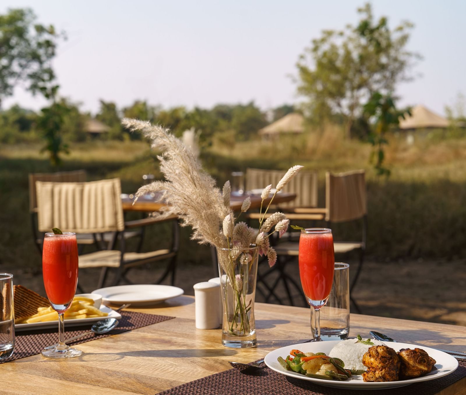 An open space with a table and food kept on the table at Trees N Tigers, Tadoba.