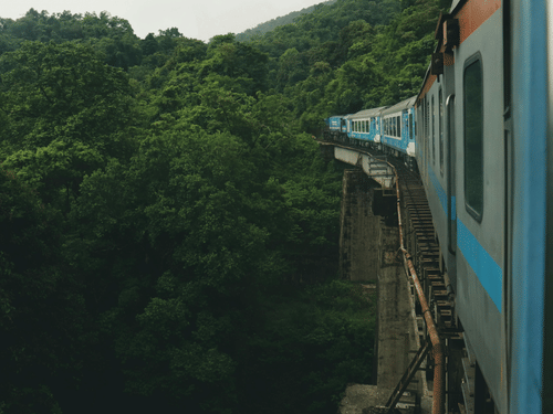 A side view from a window showing a train curving along an elevated concrete bridge track high above a dense green forest.