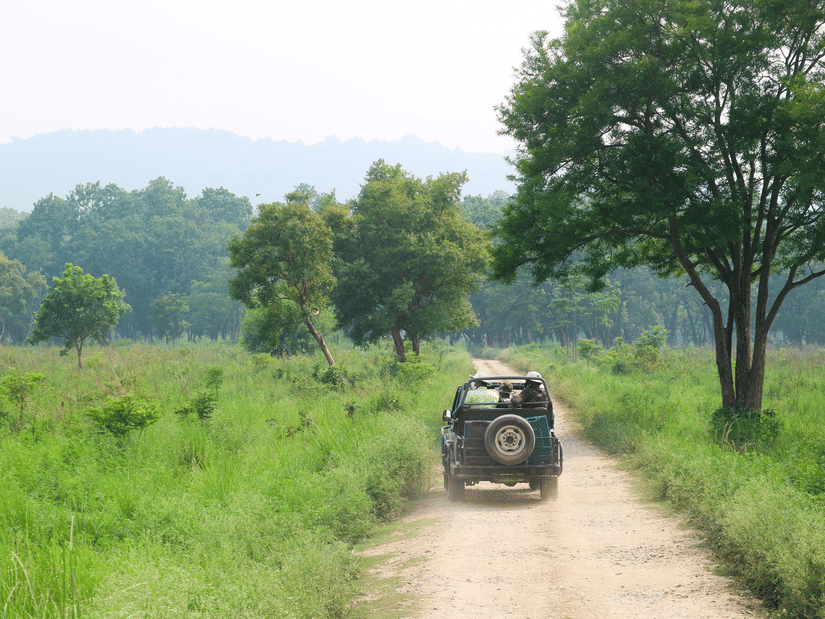 A safari jeep driving down a dirt road through a green grassy landscape with distant trees and hills.