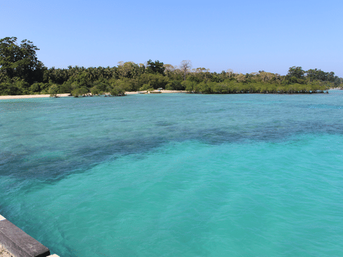 View from Jetty - Neil Kendra in Andaman and Nicobar Islands