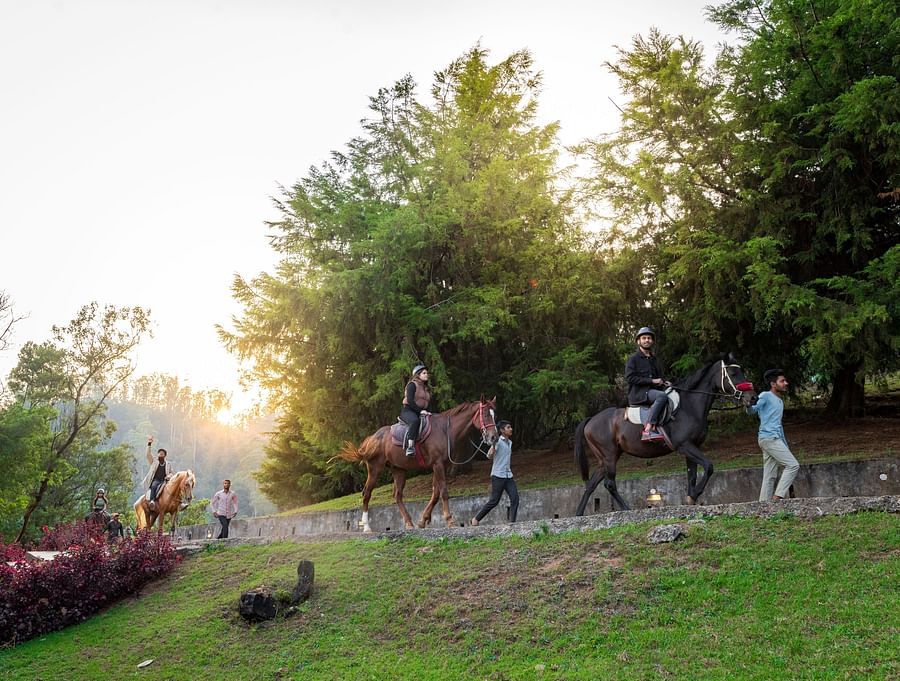 people walking with their horses at destiny