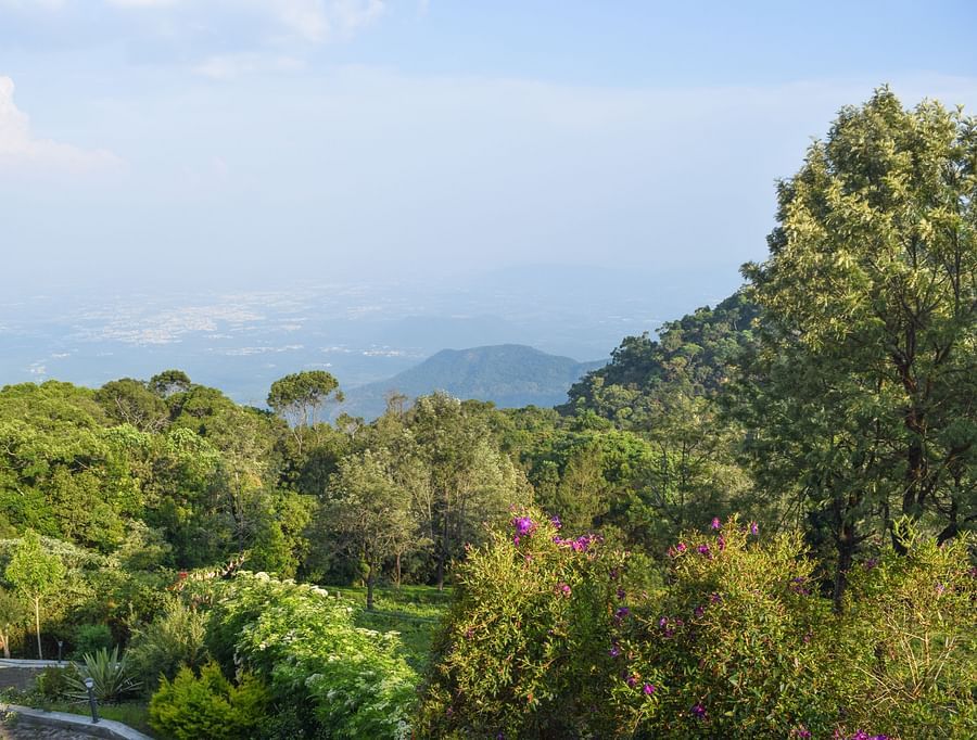 View of the forests and the hills from Ibex Resorts, Coonoor (Tapas).
