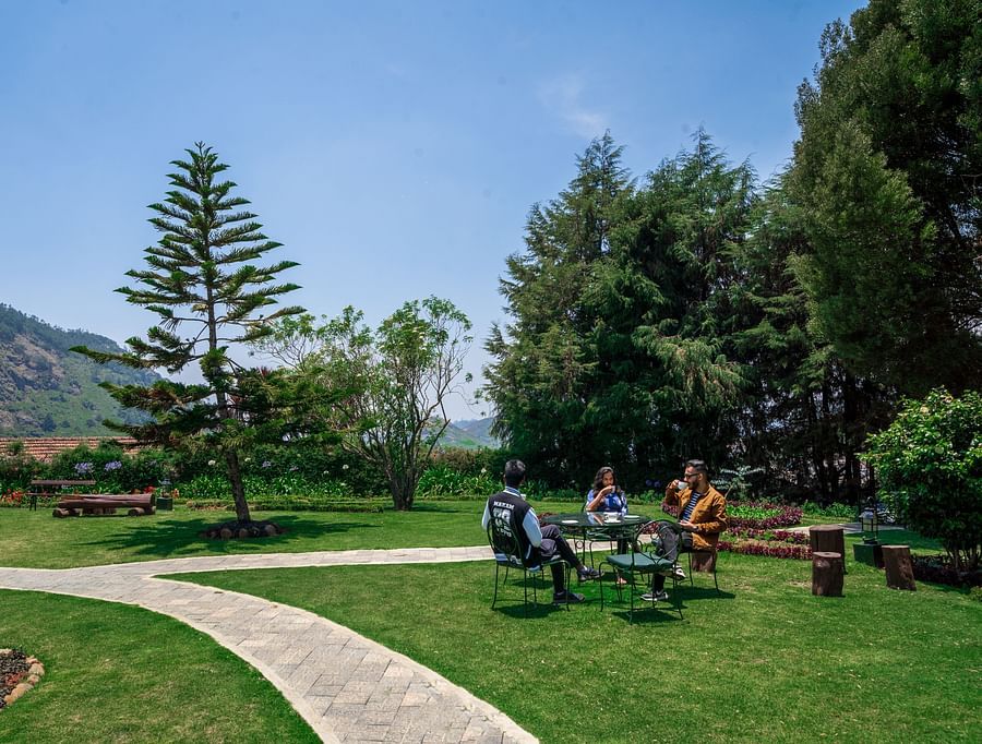three people sitting in the garden