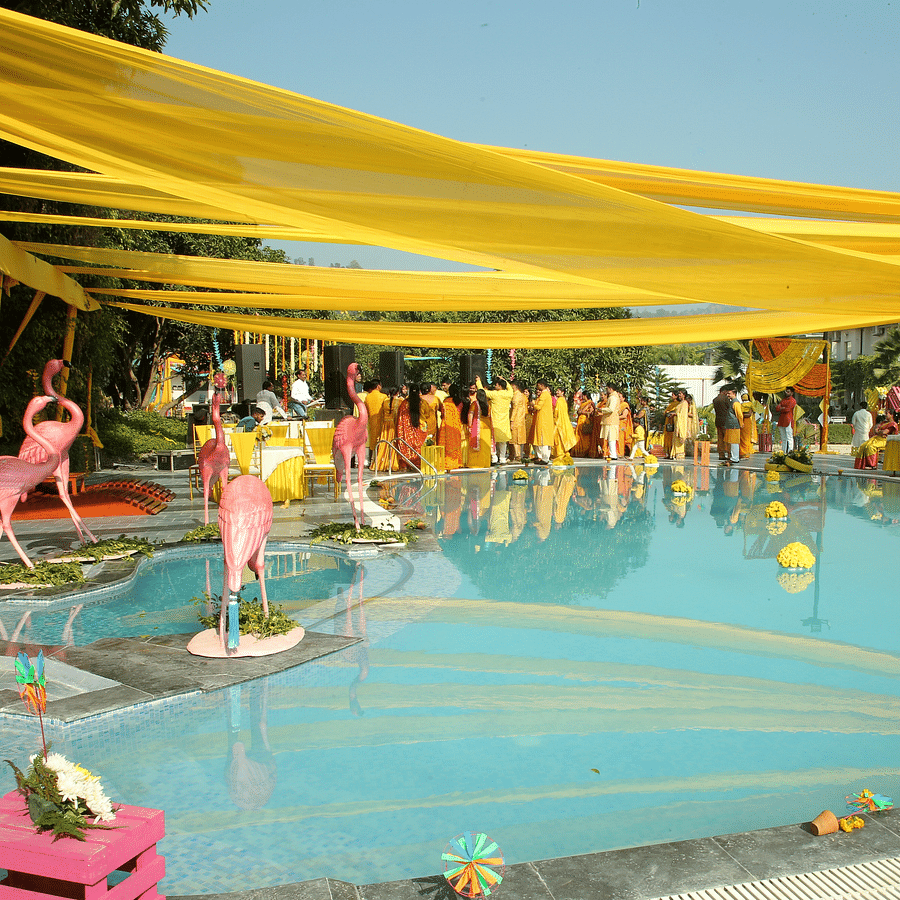 alt-text Pool Side 6