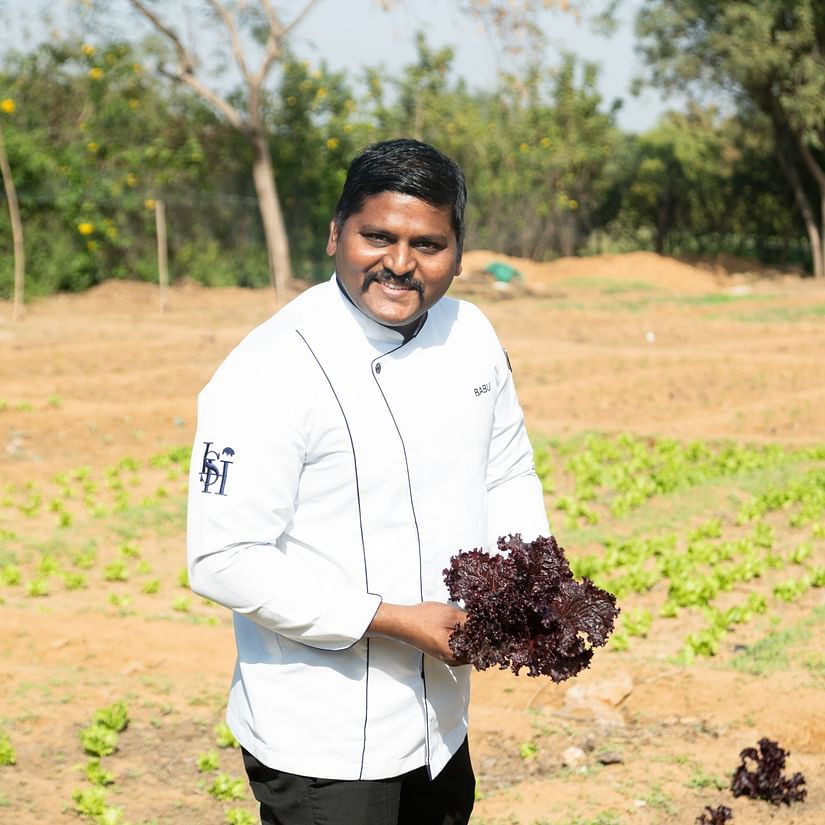A chef holding cabbage in a field during daytime - Karma Lakelands