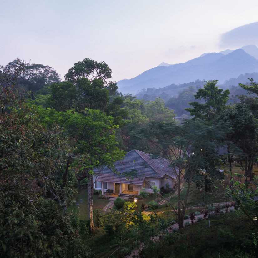 An aerial shot featuring trees and a glimpse of a building amidst the natural landscape - Abad Brookside Lakkidi, Wayanad